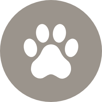 Play fetch with fido at our 2 dog parks
